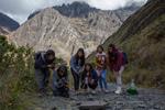 Cinco ciudades de Bolivia destacan en el City Nature Challenge 2024