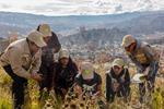 La Paz logró ubicarse en los primeros lugares en el concurso internacional de Reto Ciudad Naturaleza 2019