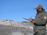 Censo 2022 registra un importante incremento de vicuñas en el área protegida de Apolobamba