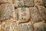 Se exportan 18 toneladas de café producido bajo sistemas agroforestales con el apoyo de WCS