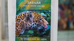 Café Jaguar: Impulsando la Conservación con Sabor