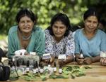 Mujeres indígenas desafían a la pobreza