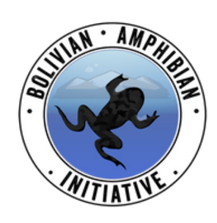 Bolivian Amphibian Initiative Bolivian Amphibian Initiative