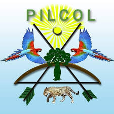 Pueblos Indígenas Lecos y Comunidades Originarias de Larecaja (PILCOL)